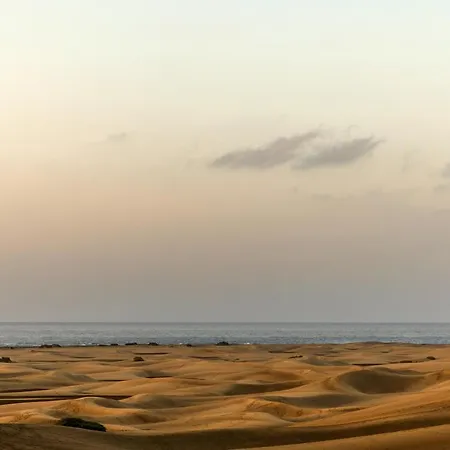 Santa Mónica Playa del Inglés